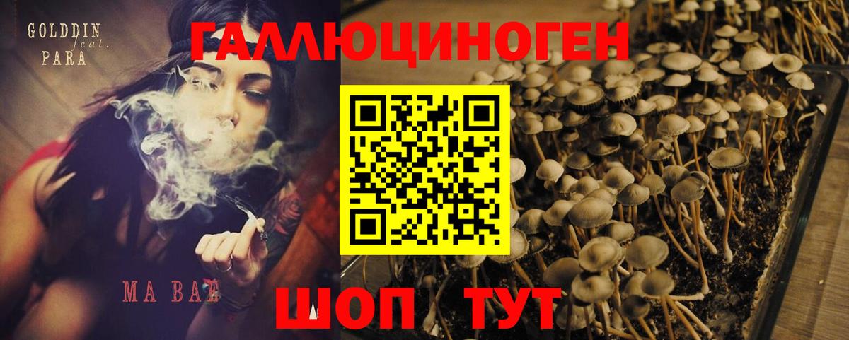 Псилоцибиновые грибы Cubensis  Псилоцибиновые грибы мухоморы  Заволжье  Вход с VPN 