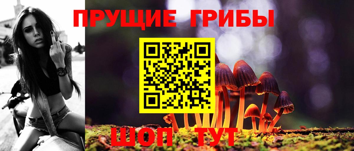 Псилоцибиновые грибы мухоморы Заволжье