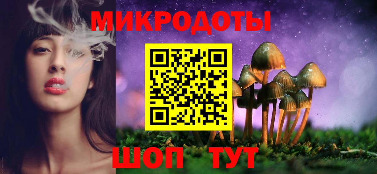 МЕФ Заволжье